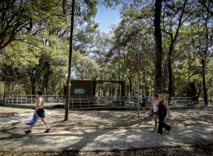 175858324168d1d9c94d7c0_1758583241_3x2_rt