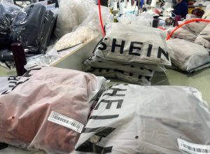 17616130716900150f599a3_1761613071_3x2_rt