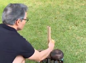 1764526164692c885429652_1764526164_3x2_lg