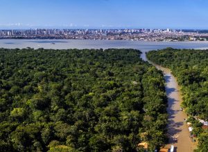 54913825786_cdd8efc00e_o