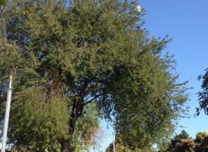 ba57d308-818e-45e1-b12d-9e5437478542