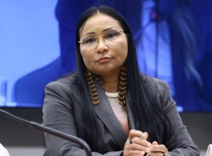 deputada-silvia-waiapi