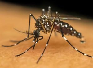 design-sem-nome-2026-03-17t145010.452