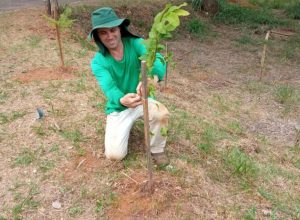 Foto: Amma/ Prefeitura de Goiânia